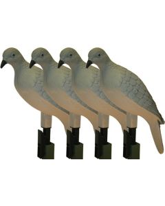  バード　 Dove This NEW Avian-X Dove is COMPLETELY DIFFERENT! (Avian-X